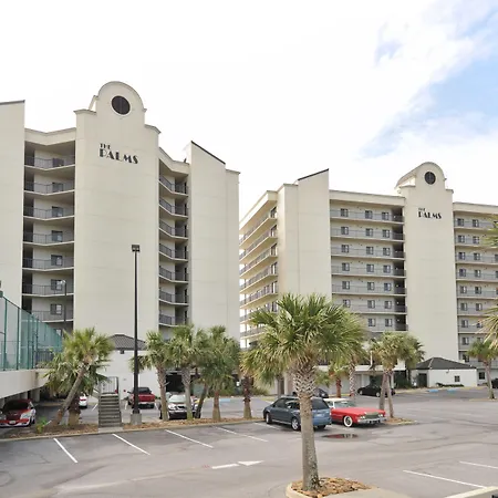 The Palms-3