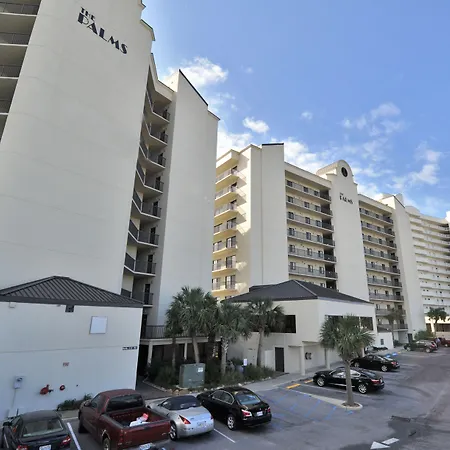The Palms-2